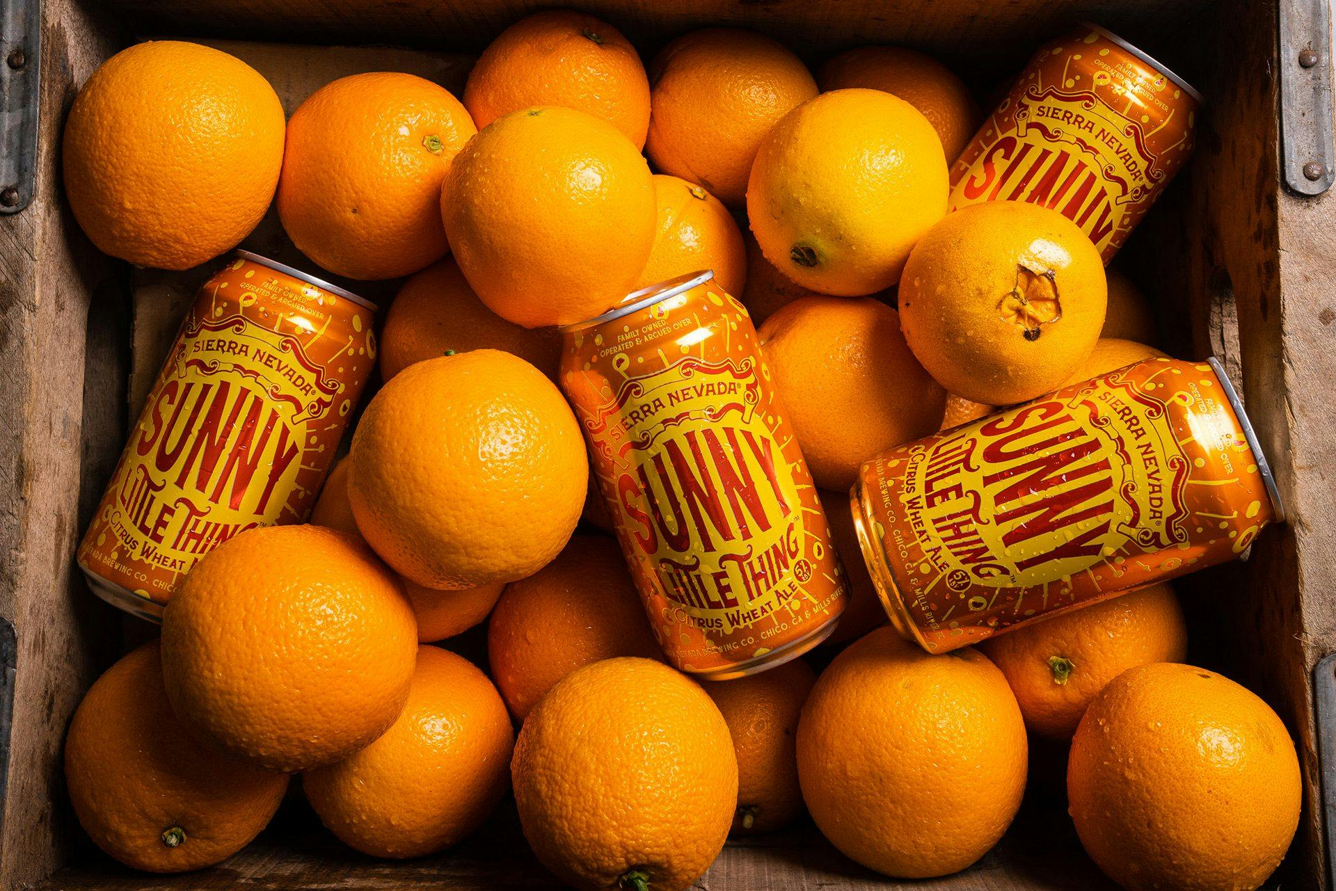 Sunny Little Things citrus wheat ale cans on oranges