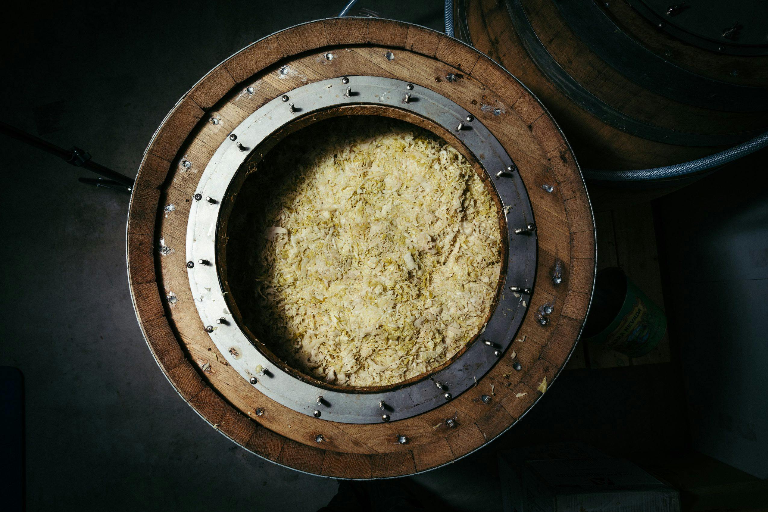 A chef pulling a handful of sauerkraut out of a beer barrel