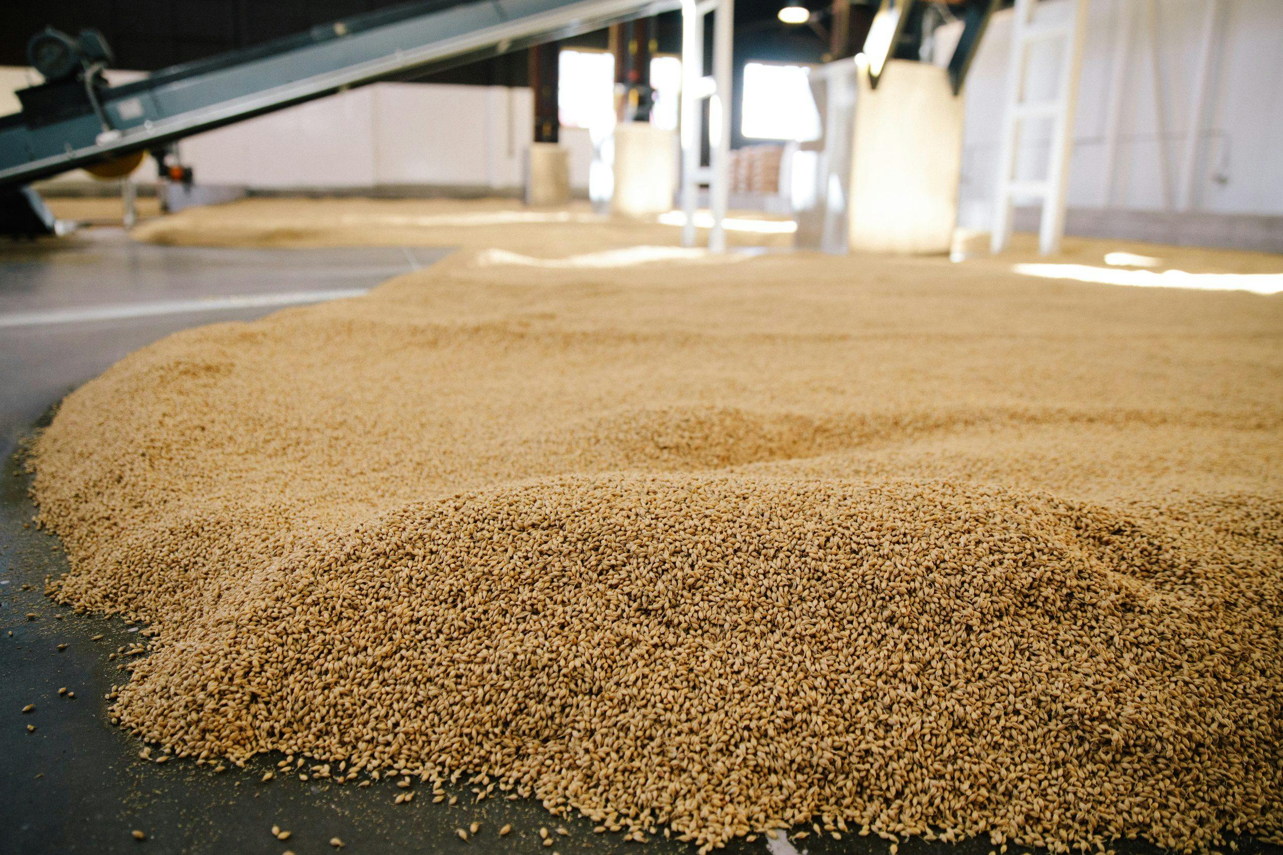 Bags of packaged craft malt at Admiral Maltings